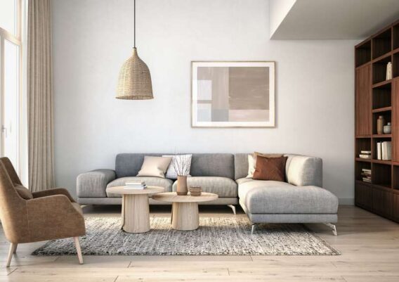 Deco Salon Canape Gris Clair