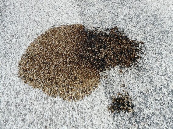 Comment nettoyer la mousse sur le bitume, enrobé ou macadam